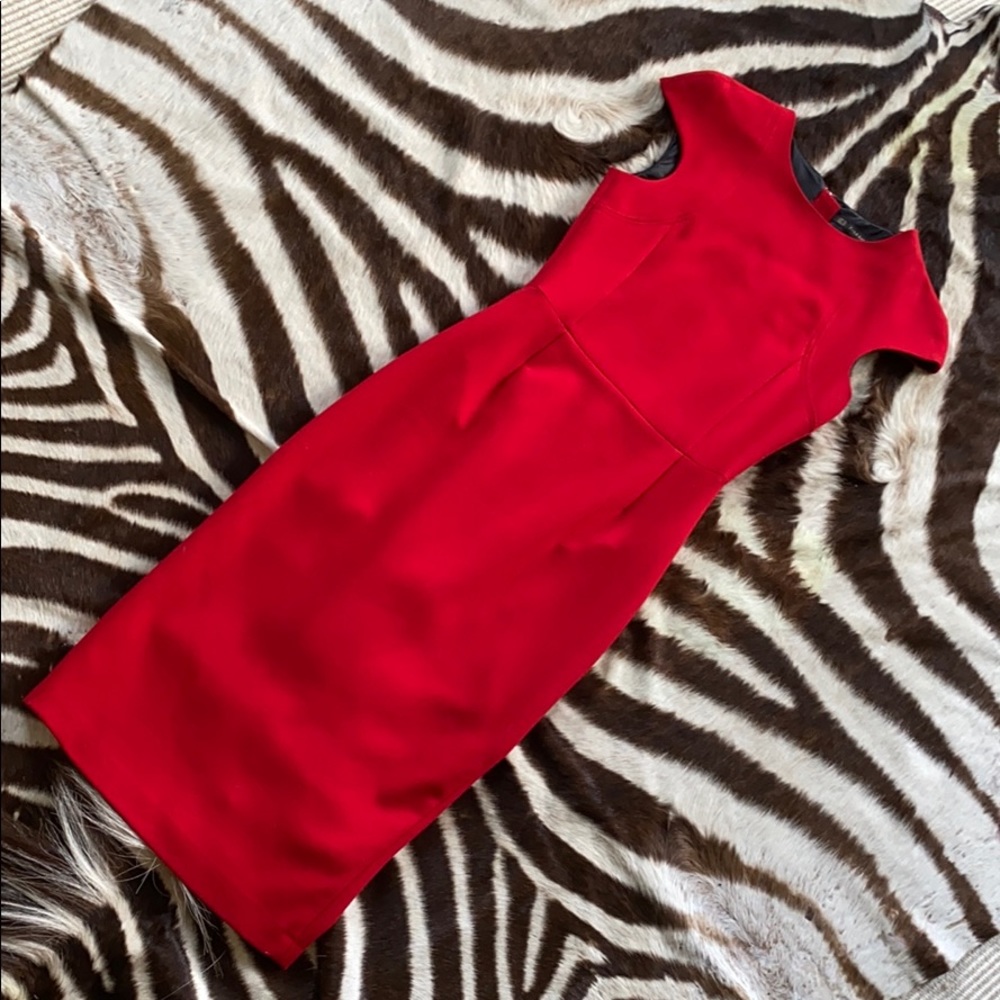 Chic Red Dress